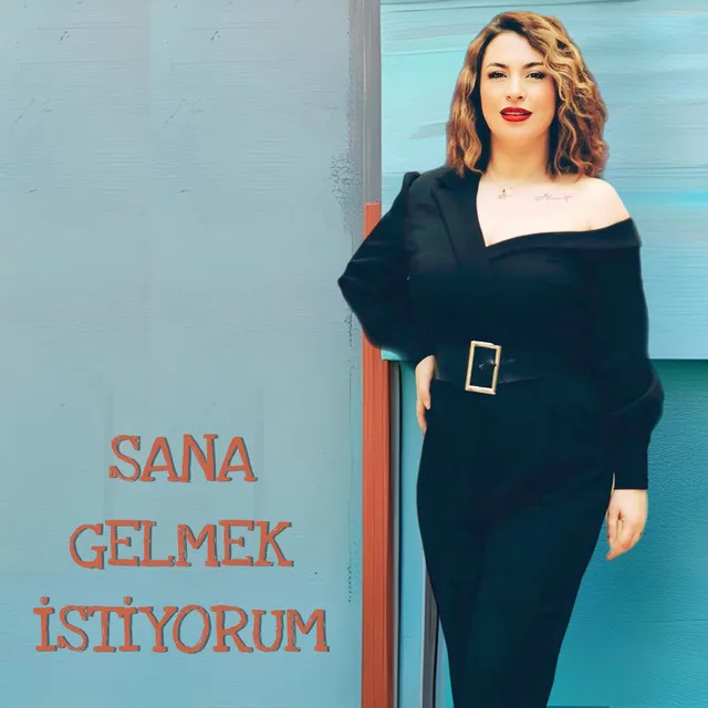 Sana Gelmek İstiyorum