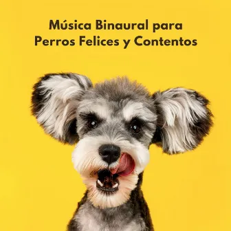 Música Binaural Para Perros Felices Y Contentos by Música para la ansiedad del perro