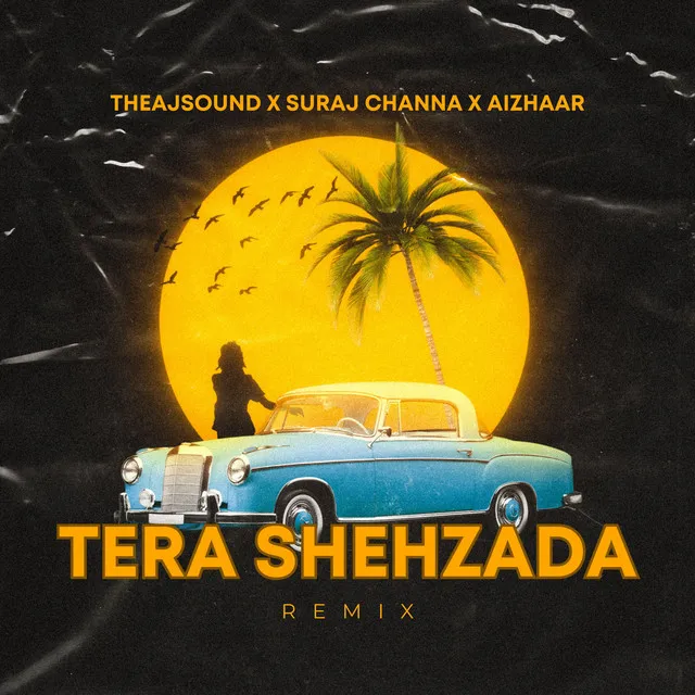 Tera Shehzada - Remix