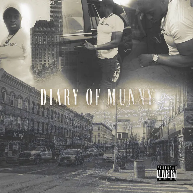 Diary of Munny