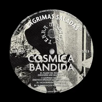 5k Caballo (Los Pulpitos Remix) by Cosmica Bandida