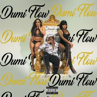 Dumi Flow by Draid Up