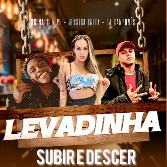 Levadinha Subir e Descer by DJ Camponês 22