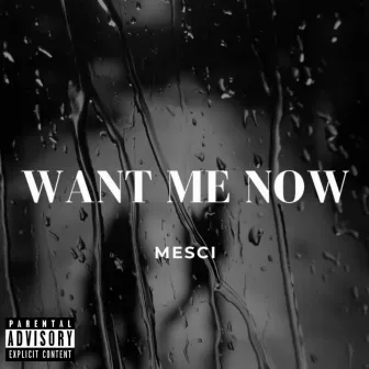 Want Me Now by Mesci