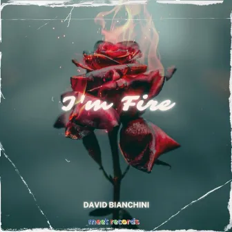 I'm Fire by David Bianchini