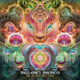 The Accelerated Path by Ingrained Instincts