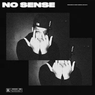 NO SENSE by Unknown Artist