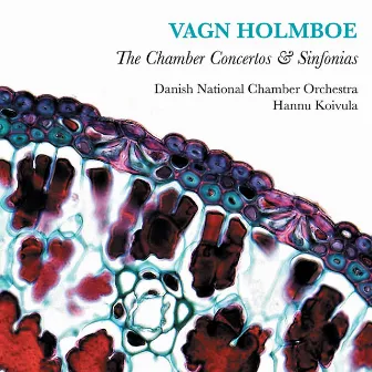 Holmboe: The Chamber Concertos & Sinfonias by Hannu Koivula