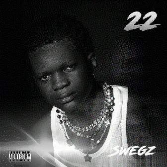 Big 22 by Swegz