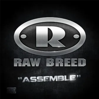 Assemble (feat. Chem) by Raw Breed