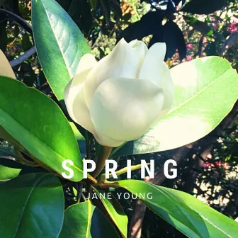 Spring by Jane Young