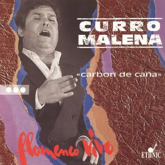 Carbon de Caña (Flamenco Vivo) by Curro Malena