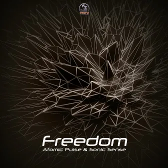 Freedom by Sonic Sense