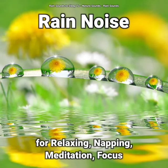 Rain Noise for Relaxing, Napping, Meditation, Focus