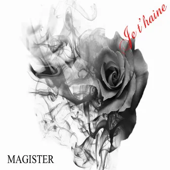 Je t'haine by Magister