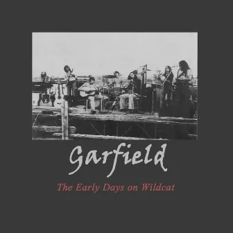 The Early Days on Wildcat by Garfield