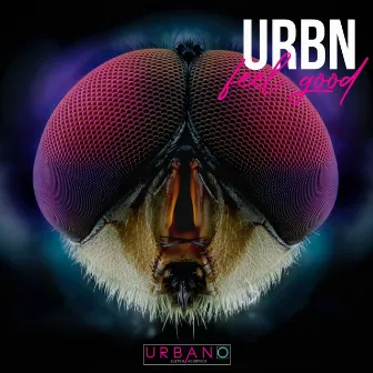 Feel Good by Urbano Eletroacustico