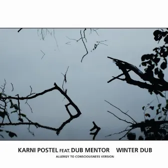 Winter Dub (allergy to Consciousness Version) by Karni Postel