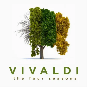 Vivaldi's the Four Seasons by Toronto Chamber Orchestra