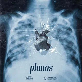 Planos by $AN-X