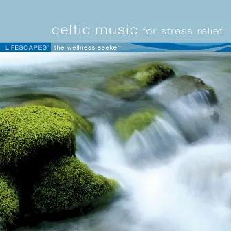 Celtic Music for Stress Relief by Dirk Freymuth