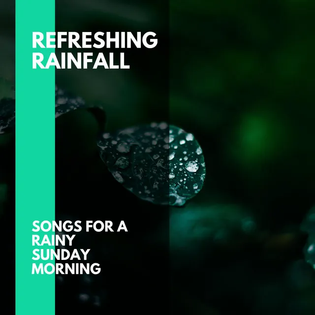 Drizzle and Soothing Bird Songs