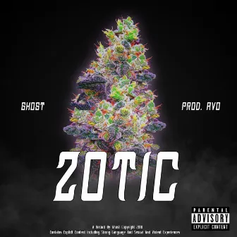 Zotic by Ghost