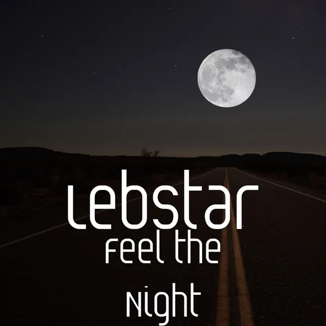 Feel the Night