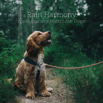 Rain Harmony: Anti-Anxiety Music for Dogs by Parisian Jazz Lounge