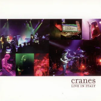 Live in Italy by Cranes