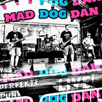 Perfekte Punx (Live Paddy Rock Hameln) by Mad Dog Dan