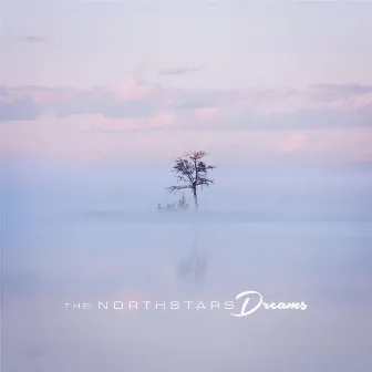 Dreams by The Northstars