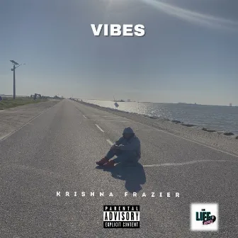 Vibes by Krishna Frazier