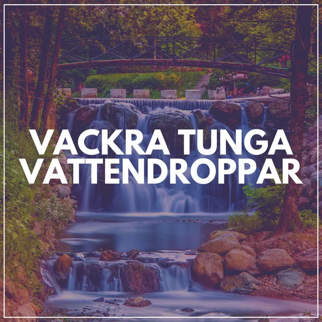 Vackra Tunga Vattendroppar