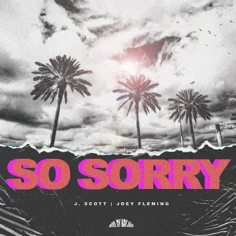 So Sorry by Joey Fleming