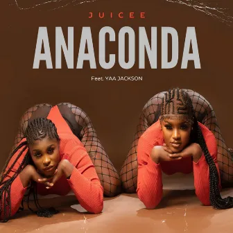 Anaconda by Juicee