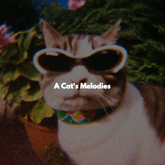 A Cat's Melodies