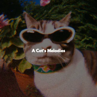 A Cat's Melodies by Montreal Jazz Duo