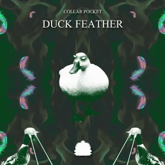 Duck Feather by Collar Pocket