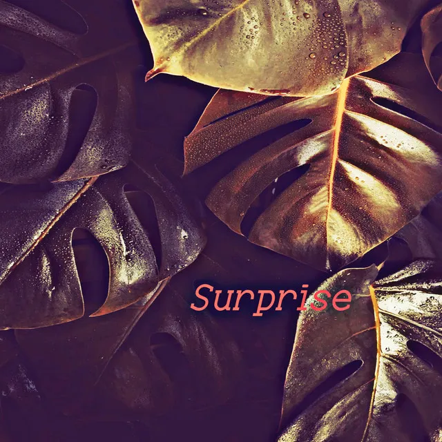 Surprise