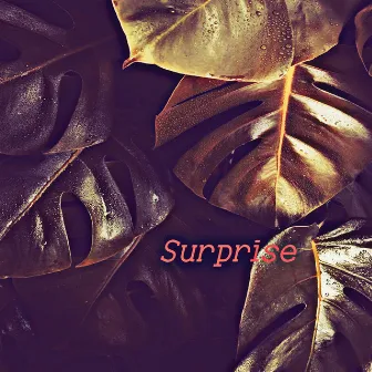 Surprise by Brian Cox