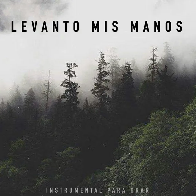 Levanto Mis Manos (Piano)