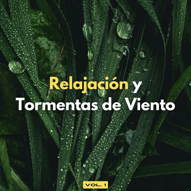 Vientos De Tormenta