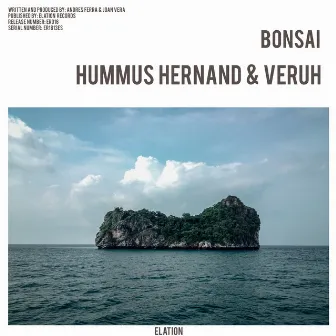 Bonsai by Hummus Hernand