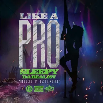 Like a Pro by Sleepy Da Realist