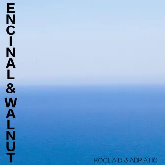 Encinal & Walnut by Adriatic