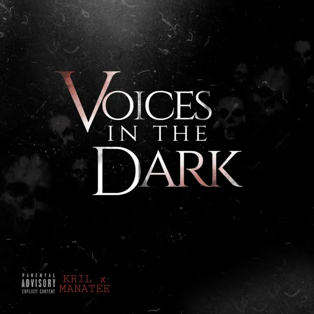 Voices in The Dark