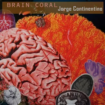 Brain Coral by Jorge Continentino