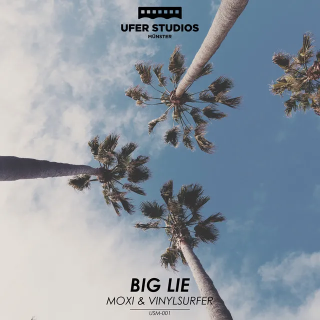 Big Lie - Vinylsurfer Remix