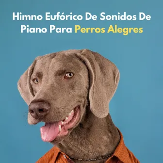 Himno Eufórico De Sonidos De Piano Para Perros Alegres by 